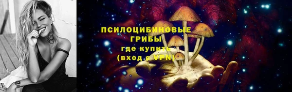 экстази Пересвет